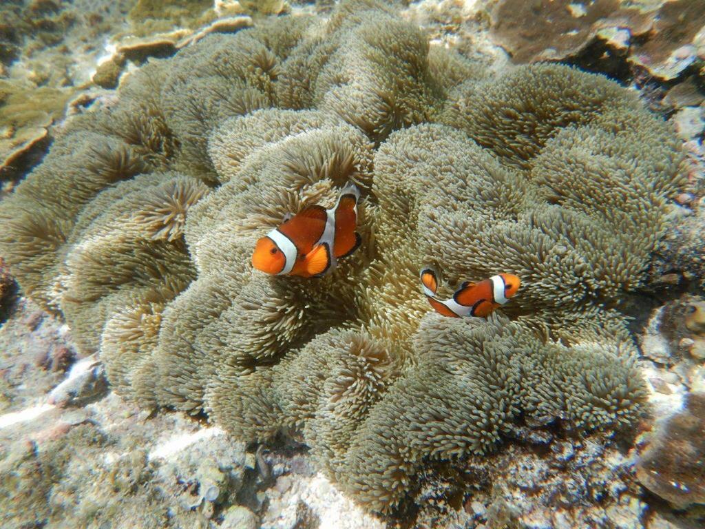 Casa Di Bravo Hotel Miyakojima  Eksteriør billede